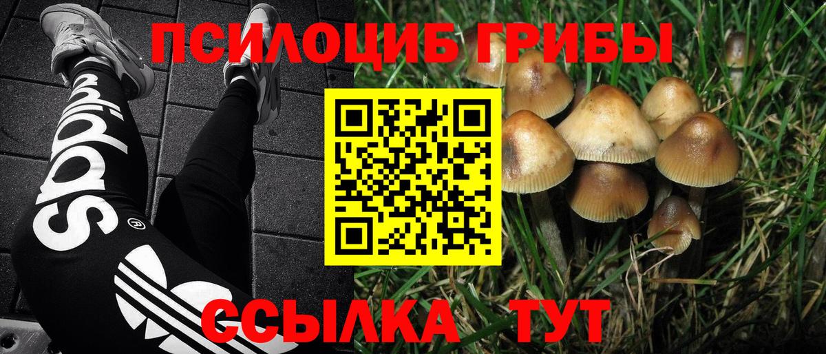 Псилоцибиновые грибы прущие грибы  Вход с VPN  дарнет шоп  Моздок 