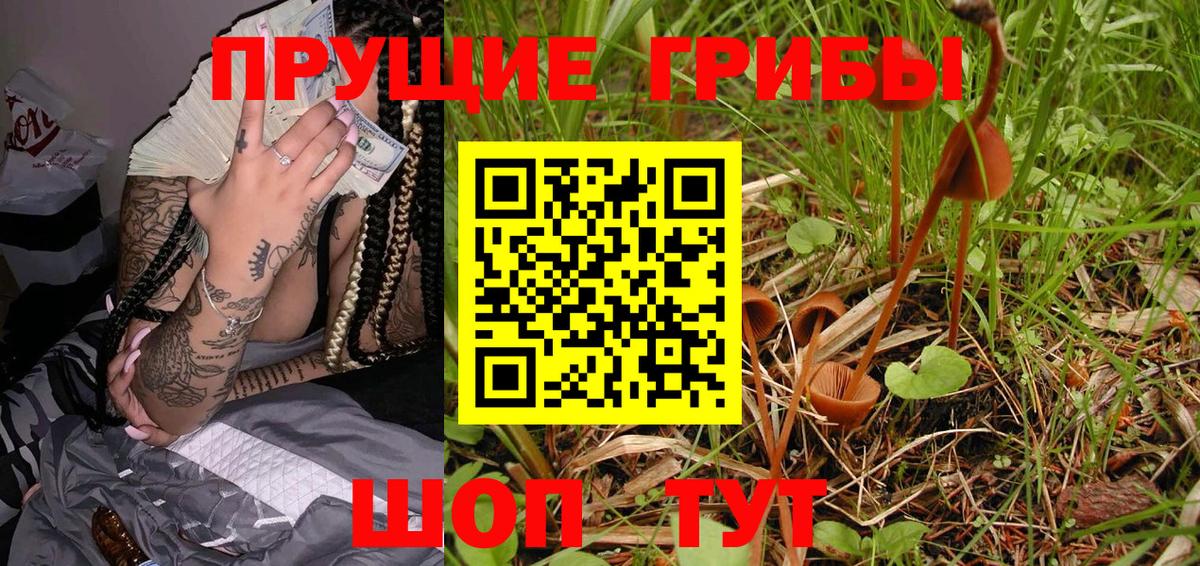 Псилоцибиновые грибы мухоморы Моздок
